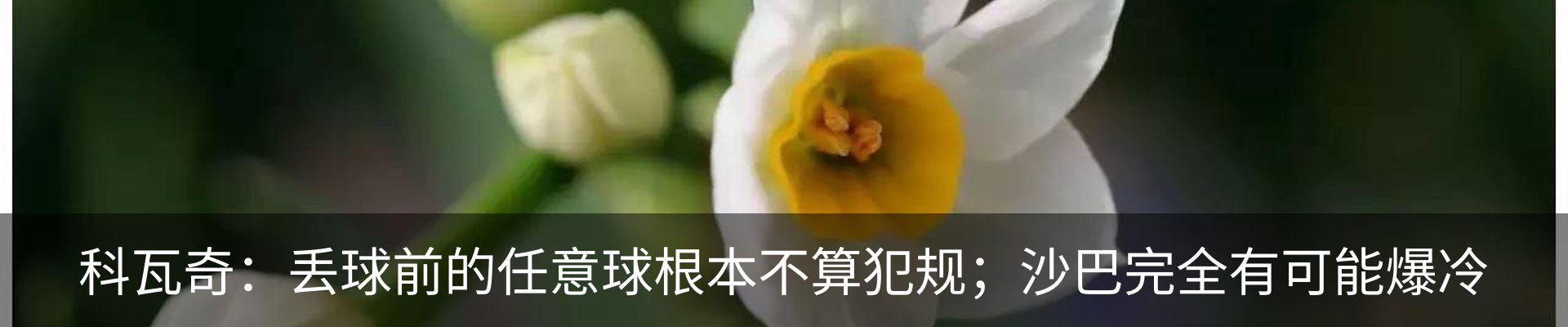 内页banner
